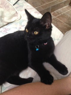 Pedro the Cuddly Boy
