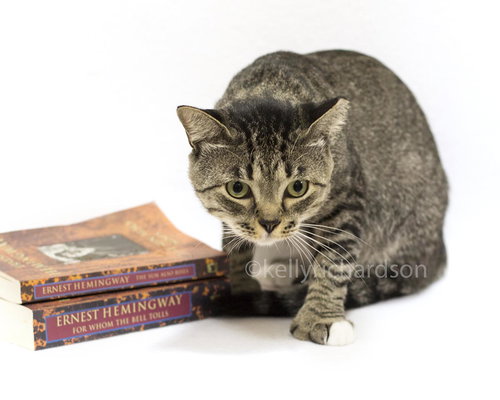 Tyrone the Hemingway Boy