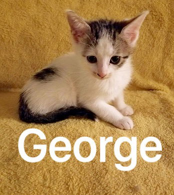 George