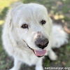 Cake in GA - Affectionate, Cuddly Girl!