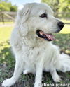 Cake in GA - Affectionate, Cuddly Girl!