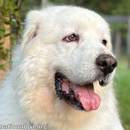 Cake in GA - Affectionate, Cuddly Girl!