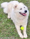 Luke in PA - Looking for the Good Life!