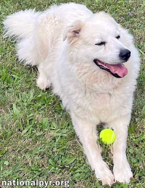Luke in PA - Looking for the Good Life!