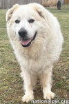 Luke in PA - Looking for the Good Life! - Photo 2