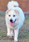 Luke in PA - Looking for the Good Life!