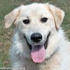 Ethel in OH - Loves to Smile & Play!