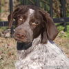 Jolene in TN - Confident & Affectionate!