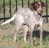 Jolene in TN - Confident & Affectionate!