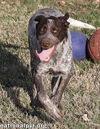 Jolene in TN - Confident & Affectionate!