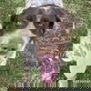 Jolene in TN - Playful & Affectionate!