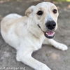 Butterball in GA - Playful & Sweet!