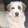 Maggie in LA - A Super Playful Girl! - Photo 1