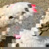 Sugar in GA - The Sweetest Girl In The World!