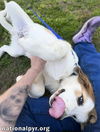 Lucas in TN - Loves Tossing Toys!