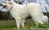 Reighn in TN - Gorgeous & Sweet!