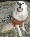 Serenity in NJ - A Cuddle-Bug Tripod! - Photo 2