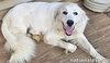 Serenity in NJ - A Cuddle-Bug Tripod! - Photo 3