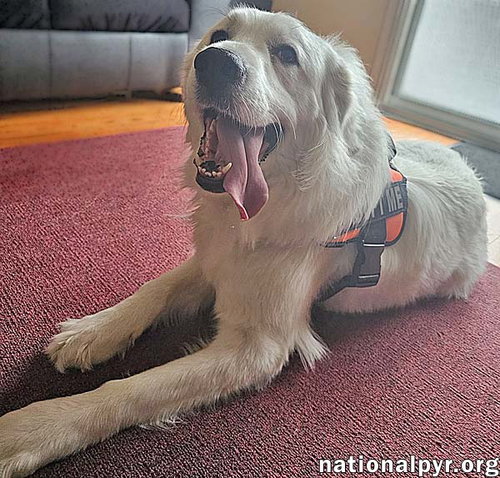 Serenity in NJ - A Cuddle-Bug Tripod! — thumbnail 6