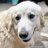 Pearl in AL - A Social Sweetheart!