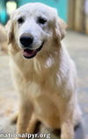 Pearl in AL - A Social Sweetheart!