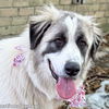 Bonnie in LA - Super Sweet & Loves Everyone!