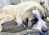 Bonnie in LA - Super Sweet & Loves Everyone!