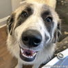 Bonnie in LA - Super Sweet & Loves Everyone!