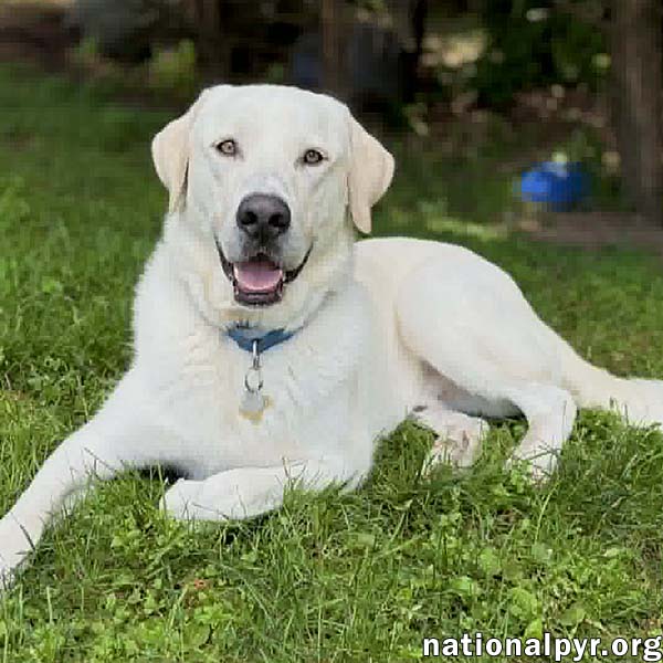 Zeus in CT - The King Of Play!