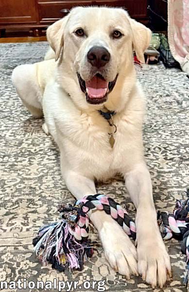 Zeus in CT - The King Of Play!