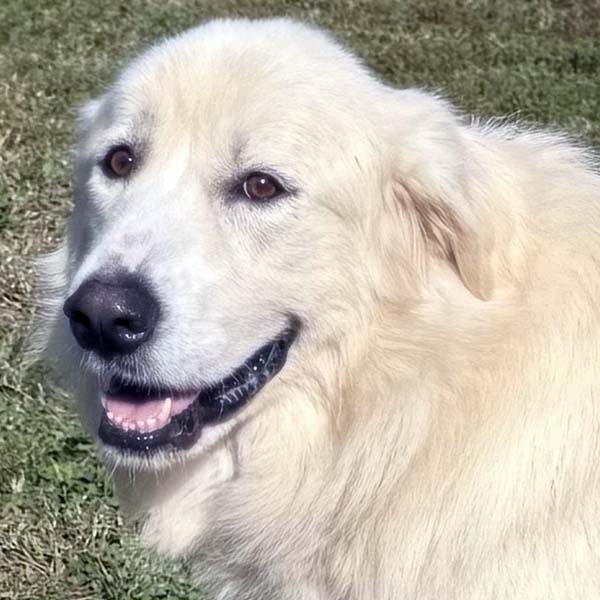 Ellie in TN - Sweet As Sugar!