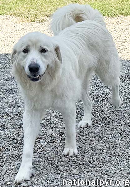 Ellie in TN - Sweet As Sugar!