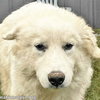 Clarence in AL - A Lover of Hugs & Snacks! - Photo 1