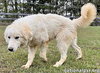 Clarence in AL - A Lover of Hugs & Snacks! - Photo 2