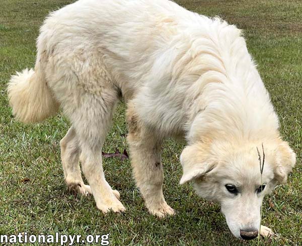 Clarence in AL - A Lover of Hugs & Snacks!