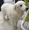 Clarence in OH - A Lover of Hugs & Snacks! - Photo 2