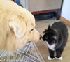 Clarence in OH - A Lover of Hugs & Snacks! - Photo 3
