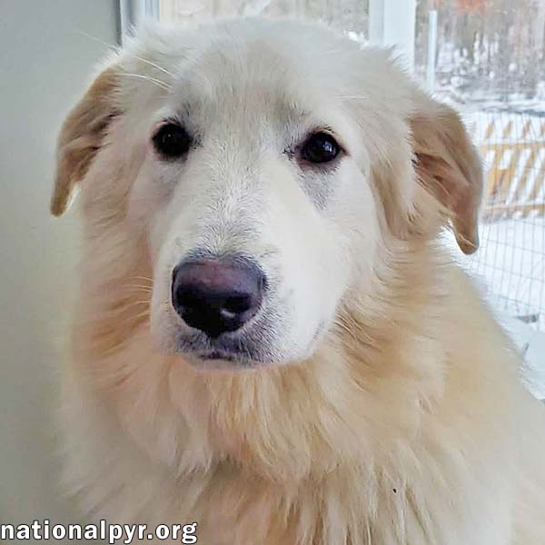 Sapphire in KY - A Bundle of Fun!