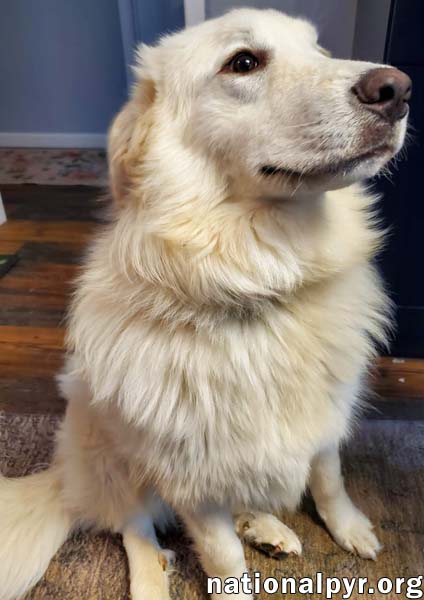 Sapphire in KY - A Bundle of Fun!