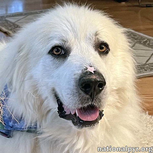 Ice in MD - Will Lean In For Love!
