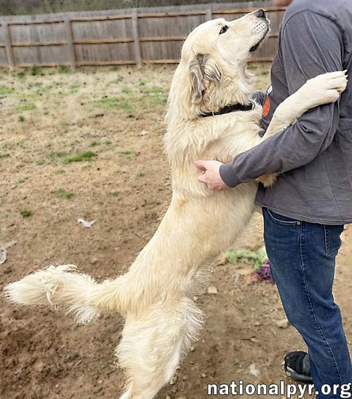 Frosty in TN - Gives Great Big Hugs! — thumbnail 5