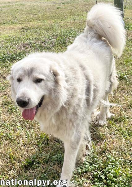 Lillie in MS - Loves Peanut Butter Ritz Bits!