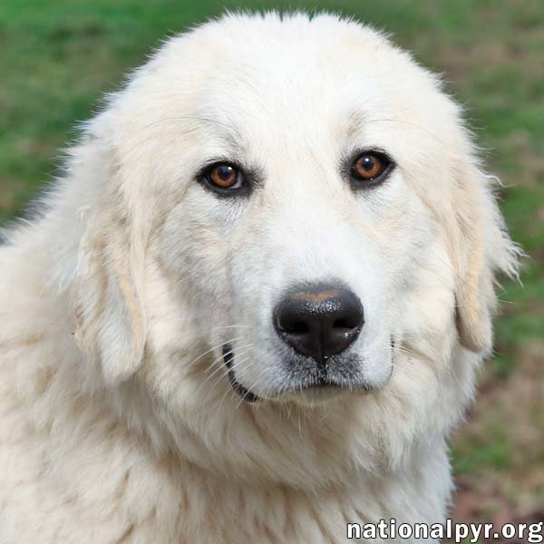 Luna in NJ - Gives Sweet Kisses!
