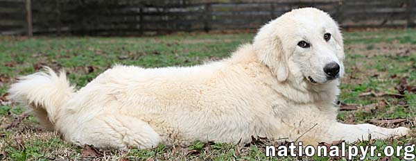 Luna in TN - Gives Sweet Kisses!