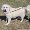 Luna in NJ - Gives Sweet Kisses! - Photo 1