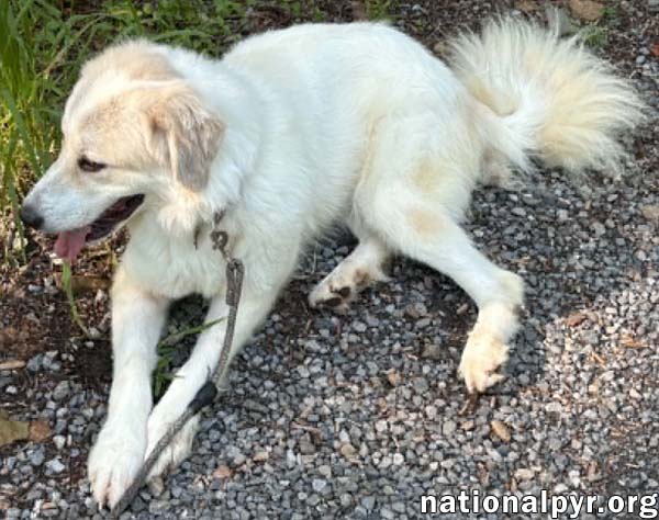 Luna in NJ - Gives Sweet Kisses!