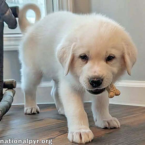 Haruki in KY - The Sweetest Shadow! Image