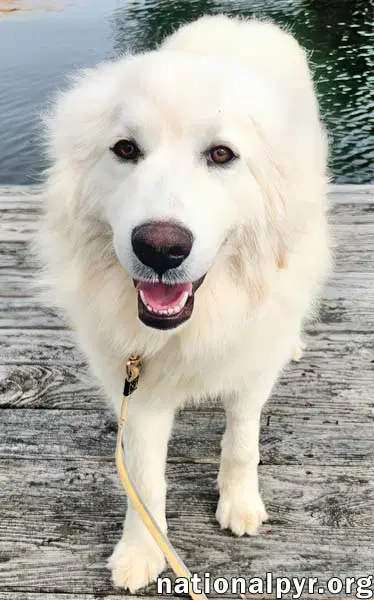 Kami In Ky - Sweet  Playful image 2