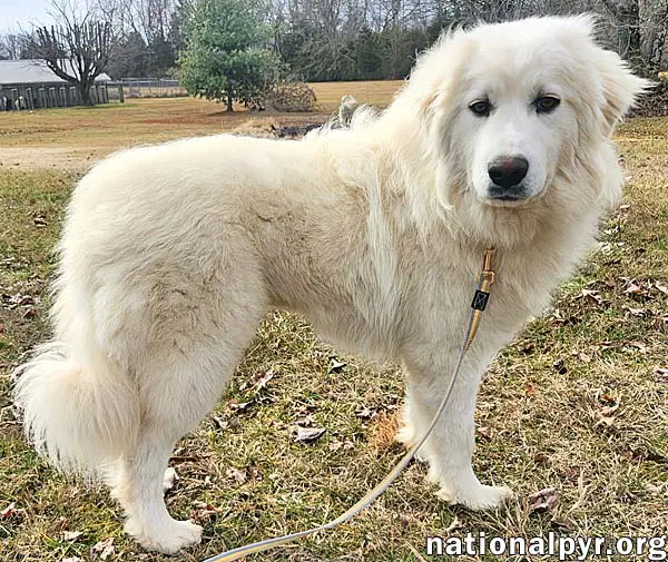 Kami In Ky - Sweet  Playful image 3