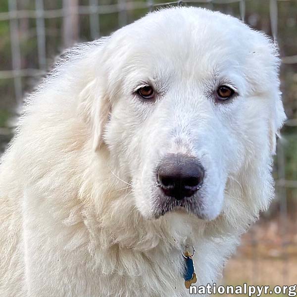 Mary Jane in SC - Gives Gentle Hugs! Image